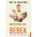 Mucizenin Adı: Bebek - Hafta Hafta Hamilelik Süreci