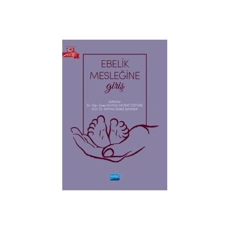 Ebelik Mesleğine Giriş