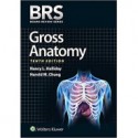 BRS Gross Anatomy