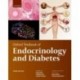 Oxford Textbook of Endocrinology and Diabetes 3rd Edition