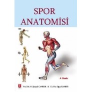 Spor Anatomisi