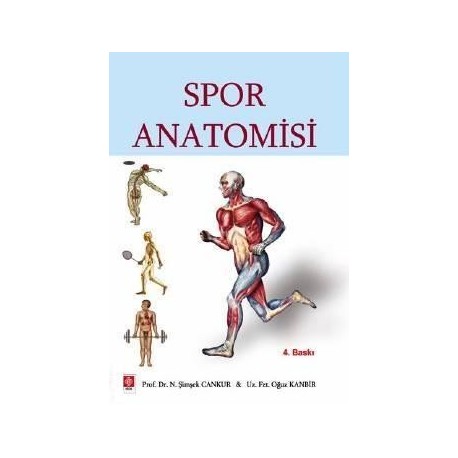 Spor Anatomisi