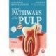 Cohen`s Pathways of the Pulp Türkçe 12.Baskı