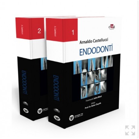 Endodonti 2 Cilt