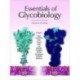 Essentials of Glycobiology, 4th Edition