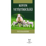 Koyun Yetiştiriciliği