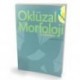 Oklüzal Morfoloji