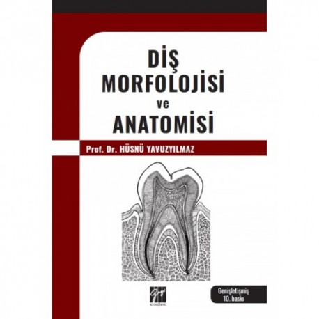 Diş Morfolojisi ve Anatomisi