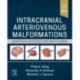 Intracranial Arteriovenous Malformations Essentials for Patients and Practitioners