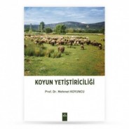 Koyun Yetiştiriciliği