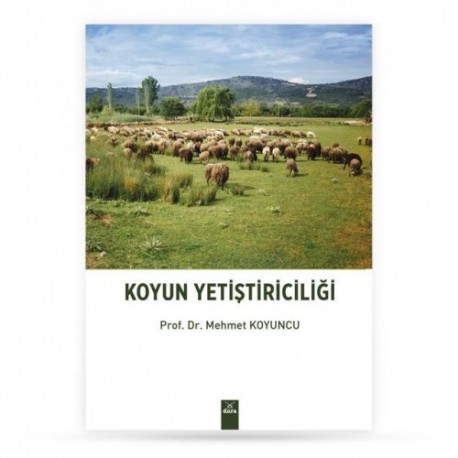 Koyun Yetiştiriciliği