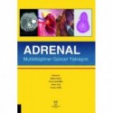 Adrenal Multidisipliner Güncel Yaklaşım