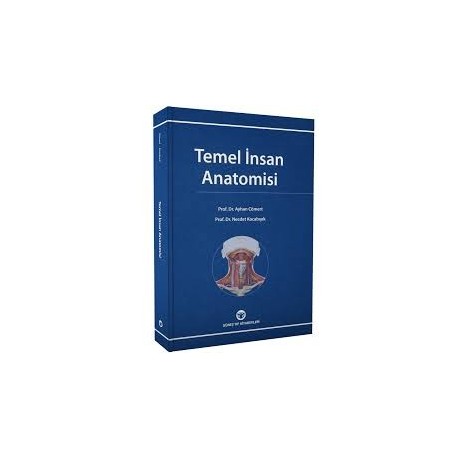 Temel İnsan Anatomisi