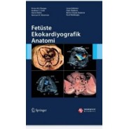 Fetüste Ekokardiyografik Anatomi