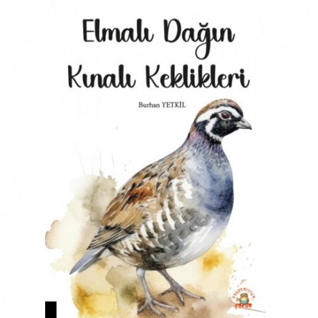 Elmalı Dağın Kınalı Keklikleri