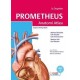 Prometheus Anatomi Atlası Cilt 2