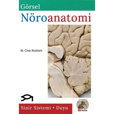 Görsel Nöroanatomi