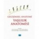 Gelişimsel Anatomi Yaşlılık Anatomisi