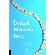 Sosyal Hizmete Giriş