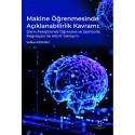 Makine Öğrenmesinde Açıklanabilirlik Kavramı Derin Pekiştirmeli Öğrenme ve Sembolik Regresyon ile Hibrit Yaklaşım