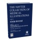 The Netter Collection Of Medical Illustrations Sinir Sistemi:1