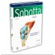 Sobotta İnsan Anatomisi Atlas Türkçe (4 CİLT)