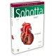 Sobotta İnsan Anatomisi Atlas Türkçe (4 CİLT)