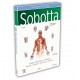 Sobotta İnsan Anatomisi Atlas Türkçe (4 CİLT)