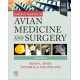 Current Therapy in Avian Medicine and Surgery Volume II