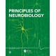 Principles of Neurobiology 2nd Edition