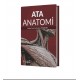 Ata Anatomi