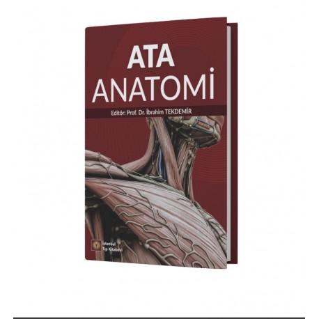 Ata Anatomi