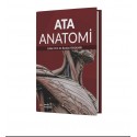 Ata Anatomi