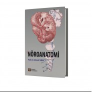 Nöroanatomi